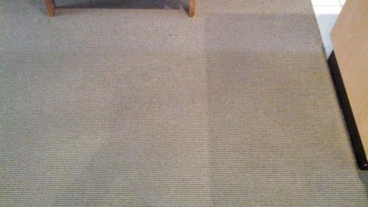Low moisture carpet cleaning results.