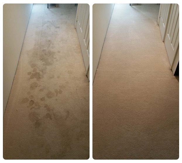 Carpet Stain Removal Perth