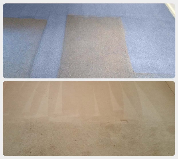 Carpet steam cleaning.