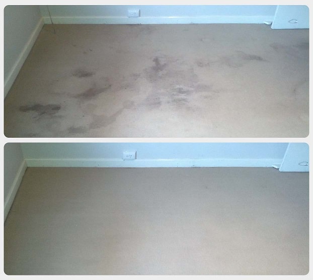 Carpet stain removal in Perth.