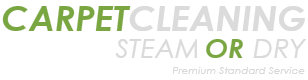 Carpet Cleaning Steam Or Dry