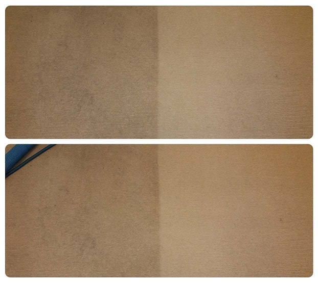 Professional carpet stain removal service in Perth.